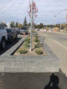 Raised Beds Prince George