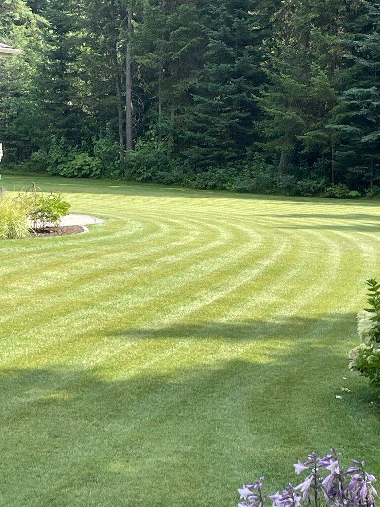 Property Maintenance Prince George